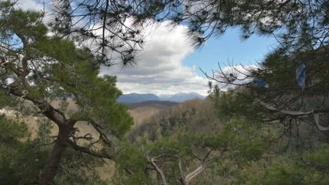 Mountain landscape, mountain pine on the stone with beautiful view on mountain Stock Footage 238608614