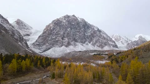 Mountain landscape, mountain view, covered with snow, glacier and autumn forest. Stock Footage 167781598