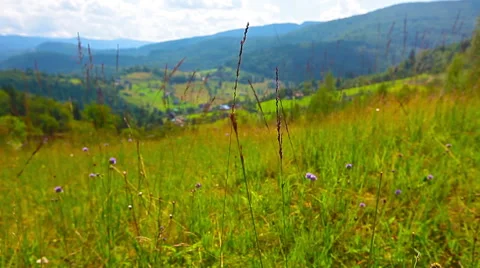 Mountain landscape. movement of the slider Stock Footage 42268868