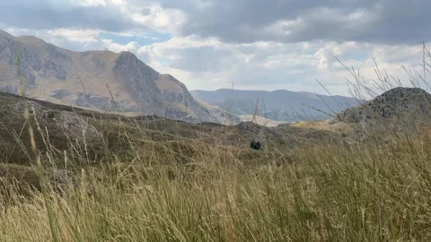 Mountain Landscape with Moving Grass and Sheep Sounds in Alpine Pasture Stock Footage 343830745