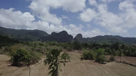 Mountain landscape with palm trees Stock Footage 281239516