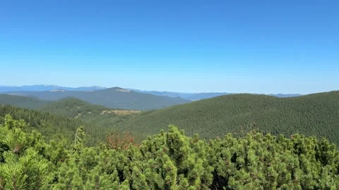Mountain landscape panoramic view of green pine tree forest Stock-Footage 318488431