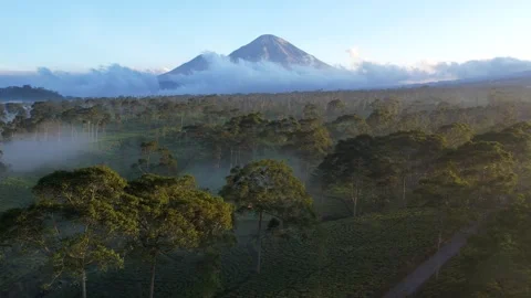Mountain landscape with peaks covered by clouds Vídeos de archivo 286933129