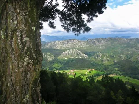 Mountain landscape Stock Photos