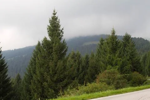 Mountain landscape Stock Photos