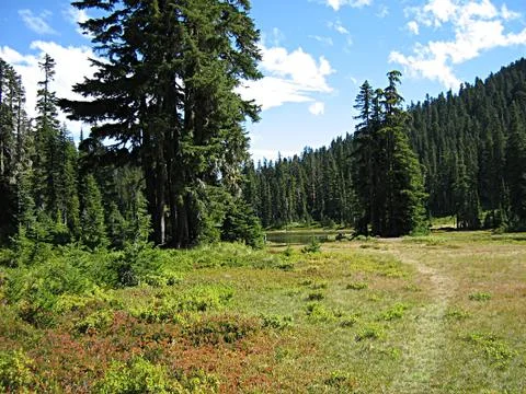 Mountain Landscape Stock Photos