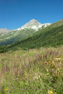 Mountain landscape Stock Photos