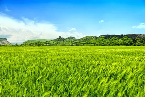 Mountain landscape 스톡 사진