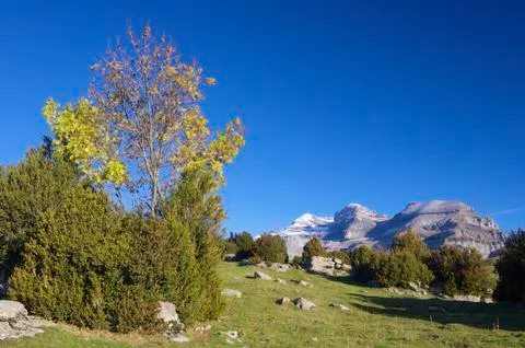 Mountain landscape Stock Photos
