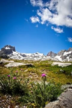Mountain landscape Stock Photos