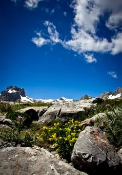 Mountain landscape Stock Photos