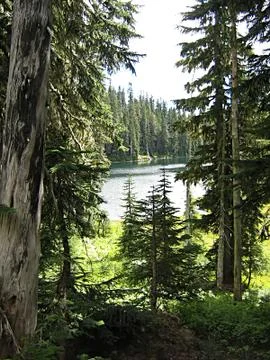 Mountain Landscape Stock Photos