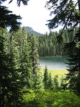 Mountain Landscape Stock Photos