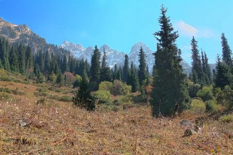 Mountain landscape Stock Photos