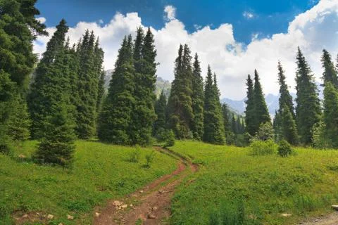 Mountain landscape Stock Photos
