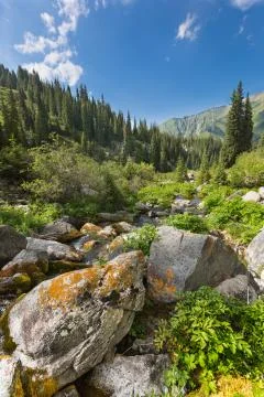 Mountain landscape Stock Photos