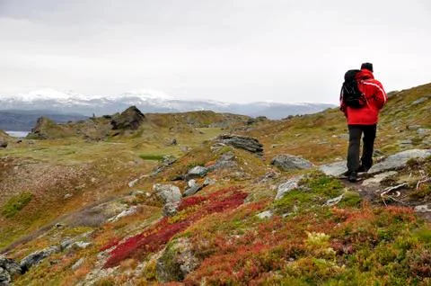 Mountain landscape Stock Photos