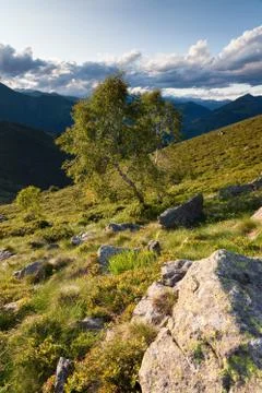 Mountain landscape Stock Photos