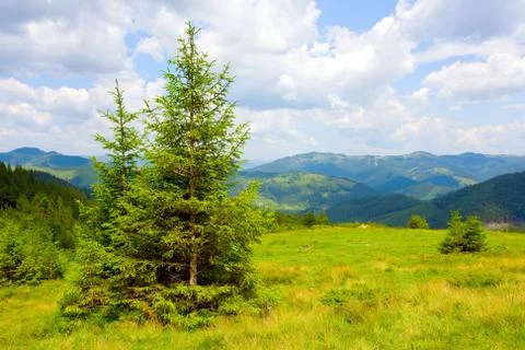 Mountain landscape Stock Photos