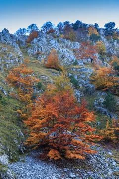 Mountain landscape Stock Photos