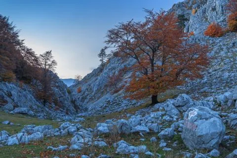 Mountain landscape Stock Photos
