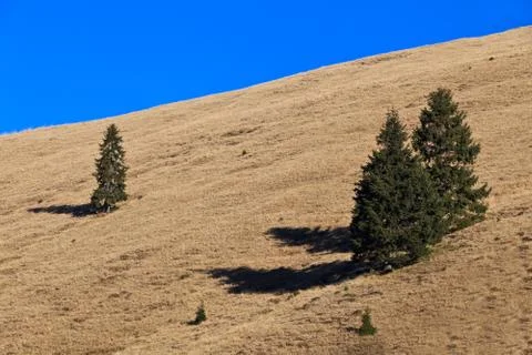 Mountain landscape Stock Photos