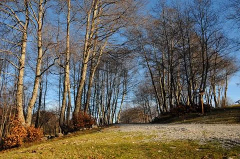 Mountain landscape Stock Photos