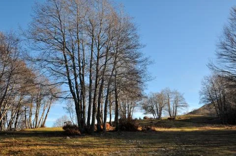 Mountain landscape Stock Photos