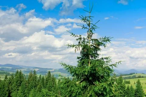 Mountain landscape Stock Photos