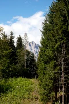 Mountain landscape Stock Photos