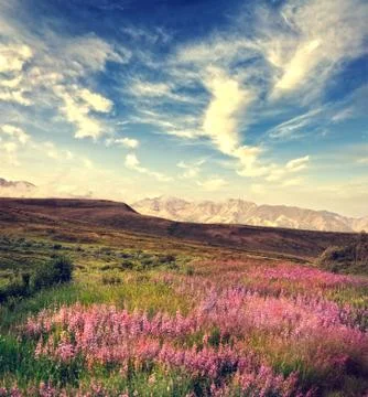 Mountain Landscape Stock Photos