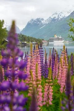 Mountain landscape Stock Photos