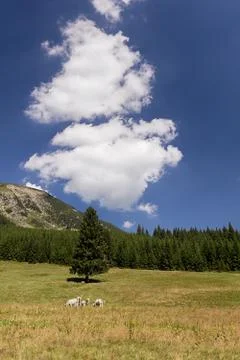 Mountain landscape Foto stock