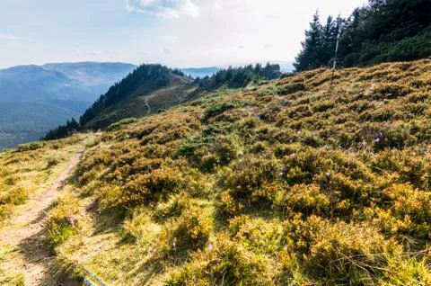 Mountain Landscape Stock Photos