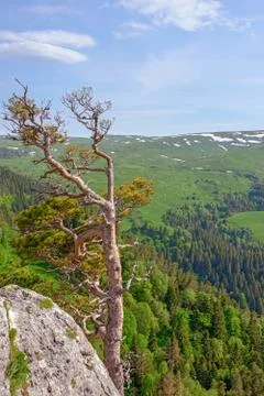 Mountain landscape Stock Photos