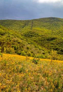 Mountain landscape Stock Photos