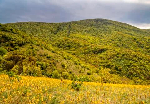 Mountain landscape Stock Photos