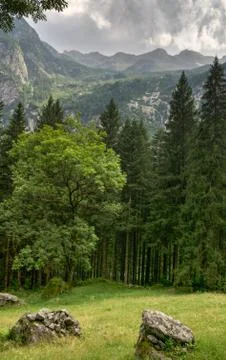 Mountain landscape Stock Photos