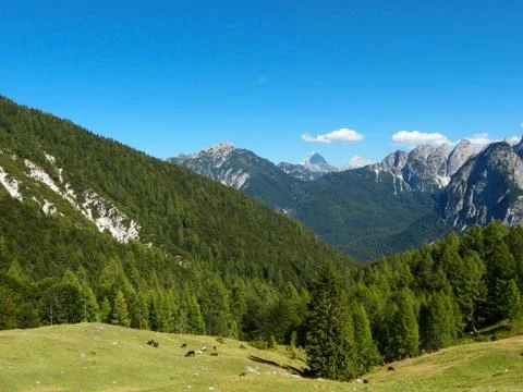 Mountain landscape. Stock Photos
