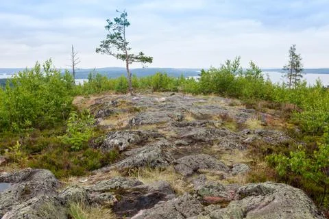 Mountain landscape Stock Photos