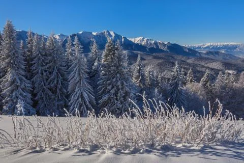 Mountain landscape Stock Photos
