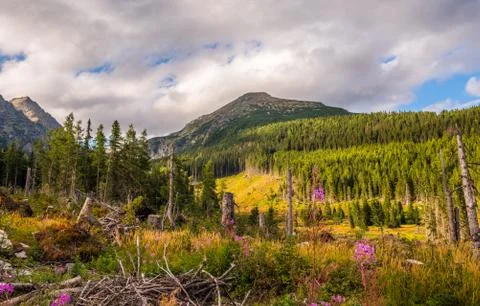 Mountain Landscape Stock Photos