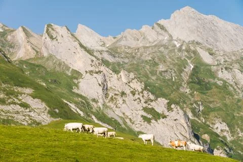 Mountain landscape Foto stock