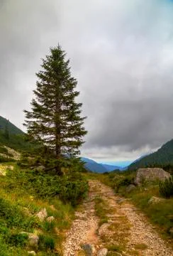 Mountain landscape Stock Photos