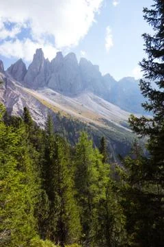 The mountain landscape Foto stock