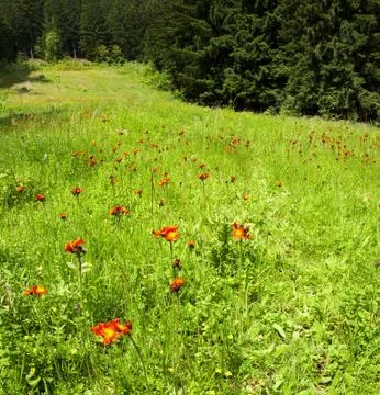 Mountain landscape Stock Photos