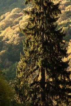 Mountain landscape Stock Photos