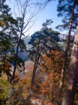 Mountain landscape Stock Photos