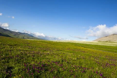 Mountain landscape Stock Photos
