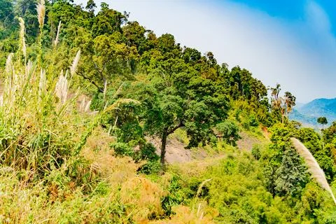 Mountain landscape. Фото